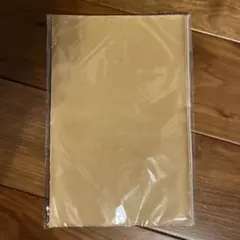 Item thumbnail for item 7f2784c3-160b-4561-b2cb-d79c63973b9a