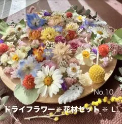 No.10❇︎ドライフラワー花材セット❇︎カラフルアソート❇︎L