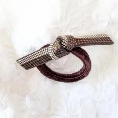 Item thumbnail for item bcc43b1e-b0a1-40c2-b7f5-9ff07eadbce4