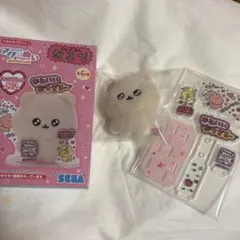 チェゴシム アクぬい　くまゴシム