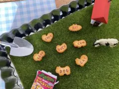 Rさん専用