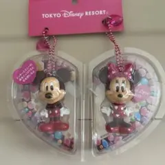 新品★TOKYO Disney RESORT キーチェーン