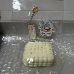 qmii studio スクイーズ