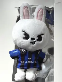 【匿名】Stray Kids スキズ リービット karma ぬい トレカ付き