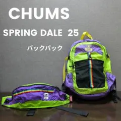 CHUMS SPRING DALE 25 ナップザック　バックパック　ザック