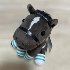 2025年最新】ウオッカ アイドルホースの人気アイテム - メルカリ