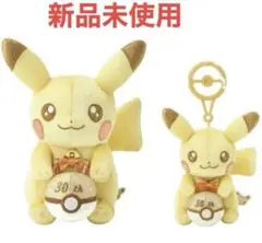 ポケモン 30周年記念 ピカピカ！ピカチュウ ぬいぐるみ マスコット 2点