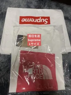 Supreme x The North Face S/S Top 