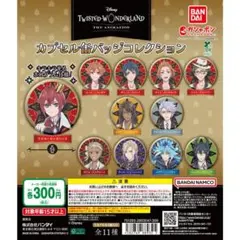 ツイステッドワンダーランドザ アニメーションカプセル缶バッジコレクション全11種