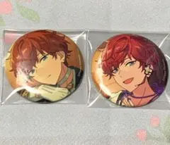 あんさんぶるスターズ あんスタ 缶バッジ セット 天城一彩