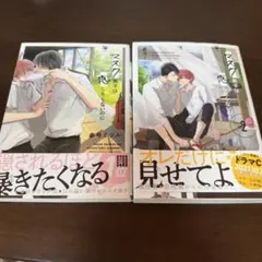 マスク男子は恋したくないのに 1.2巻セット