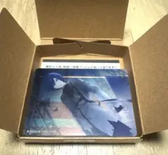 プロセカ　ノーブルアートvol.59 KAITO