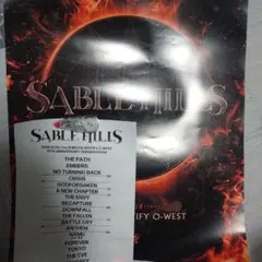 2026年最新】sable hills cdの人気アイテム - メルカリ