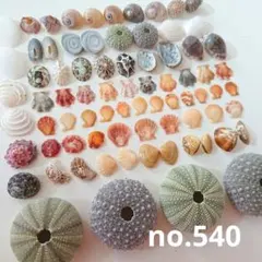 Item thumbnail for item 3edea747-5464-4303-af87-c15f181c7112