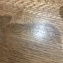 ゆいさん、専用