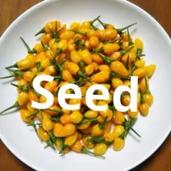 BMTN6様 リクエスト 2点 まとめ商品