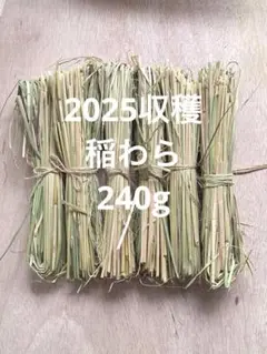 (New! 2025収穫稲藁) 稲わら240g 【家庭菜園、正月飾り花材に最適】