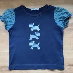 familiar テリアTシャツ100cm