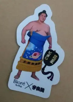 宇良関　ビオレ　非売品ステッカー