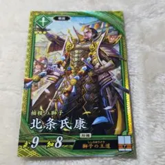 ️️北条氏康⭕️ 英傑大戦