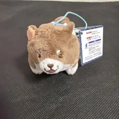 忠犬もちしば マスコット ストラップ　柴犬　ぬいぐるみ　キーホルダー お花見