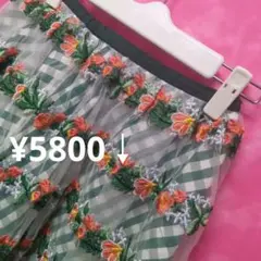 ☘️☘️Sサイズ【限定♥】チェスティ　レース刺繍スカート　緑　¥5800↓