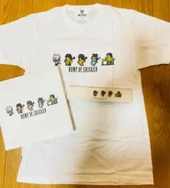 BUMP OF CHICKEN Tシャツとピンバッジセット