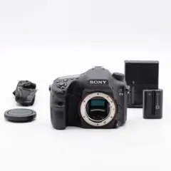 SONY A77ii Ilca-77m2 ズームレンズ 望遠その他まとめ SONY A77ii Ilca-77m2 ズームレンズ 望遠その他まとめ - メルカリ