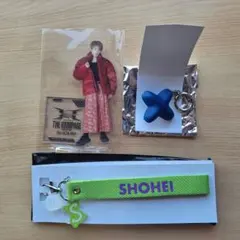 Item thumbnail for item 7fa84b3e-fa06-429d-941e-ffe46a26306e