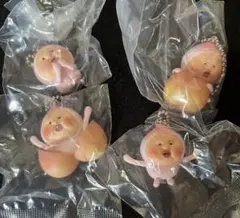 こびとづかん カクレモモジリ コレクション 4種 セミコンプ