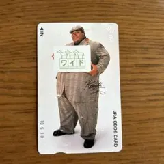 2025年最新】小錦 サインの人気アイテム - メルカリ