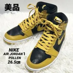✨美品✨NIKE AIR JORDAN１　RETRO HIGH パラン26.５㎝
