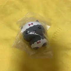 ねこぱんつ くろ