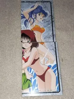 遊戯王】野坂ミホ＆真崎杏子 東映版 トレーディングコレクション 水着