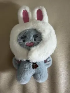 SHINee オンユ ONEW 10cm doll JJINGGU KING - メルカリ