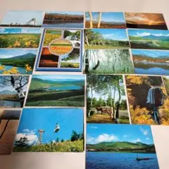 Item thumbnail for item 3ff74f19-e60b-44bf-a98f-f552580d93c4