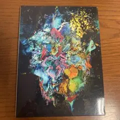 RADWIMPS 特別展 ポップアップ ジャケットTシャツ ×と◯と罪と L 20th Anniversary 特別展「私たちはまだRADWIMPSを知らない