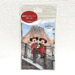 ディズニークリスマス　ディズニーシー写真　10枚セット