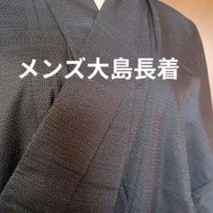 ★本場大島紬メンズ大島濃紺　100亀甲 長着　170センチ位