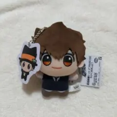 家庭教師ヒットマンREBORN! ちびぐるみ / 沢田綱吉