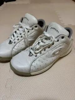 Item thumbnail for item 302e5257-4ebb-4e3c-944f-9e1342ff73e0