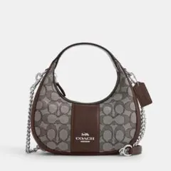 Coach ショルダーバッグ ベージュとブラウン