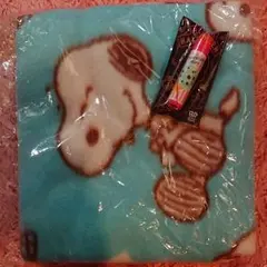 31 リップクリーム とブランケット