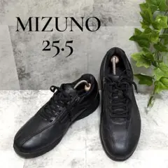 Item thumbnail for item 5bbe25bb-a922-4095-82da-f955a1be4f61