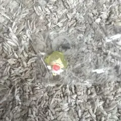 JOCHUM めじるしアクセサリー もこ　大平祥生