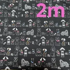 シーチング★１枚限り★わんちゃん★ブラック★