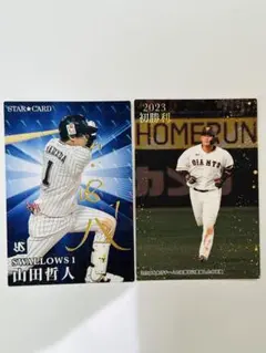 プロ野球チップス