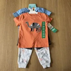 新品　pekkleダイナソー　4点セットのサムネイル