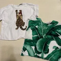 Item thumbnail for item 96ccd314-7ff5-4815-ac9d-bc20b543c5e5