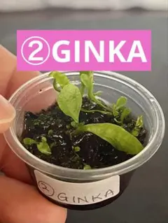 速達❣️UHA様 リクエスト 5点 まとめ商品